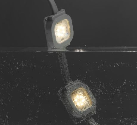 DOT